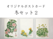 画像をギャラリービューアに読み込む, ポストカード【冬】<br>3枚セット<br>オリジナル/季節の花