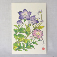 画像をギャラリービューアに読み込む, ポストカード<br>3枚セット【E】<br>絵はがき/桔梗<br>鶏頭/山茶花