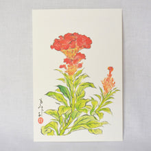 画像をギャラリービューアに読み込む, ポストカード<br>3枚セット【E】<br>絵はがき/桔梗<br>鶏頭/山茶花