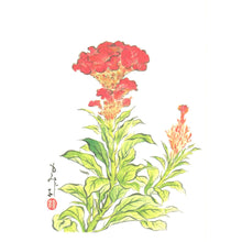 画像をギャラリービューアに読み込む, ポストカード<br>3枚セット【H】<br>絵はがき/福寿草<br>鶏頭/桔梗