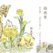 画像をギャラリービューアに読み込む, ポストカード【冬】<br>3枚セット<br>オリジナル/季節の花