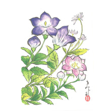 画像をギャラリービューアに読み込む, ポストカード<br>3枚セット【H】<br>絵はがき/福寿草<br>鶏頭/桔梗