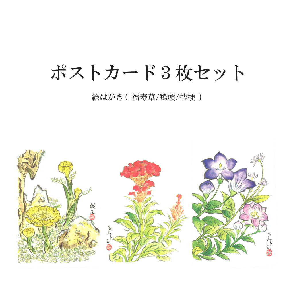 ポストカード3枚セット【H】絵はがき／季節のお手紙／福寿草／鶏頭